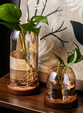 复古玻璃小花瓶家用客厅电视柜水培插花器摆件办公室桌面绿植花盆