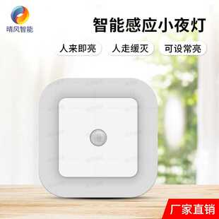 Night Light Motion Sensor With LED Light EU US UK Plug Lamps