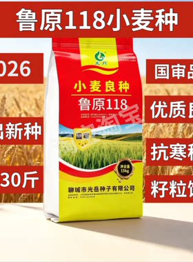鲁原118小麦种子矮杆抗病抗倒冬小麦高产麦种农科院新品种
