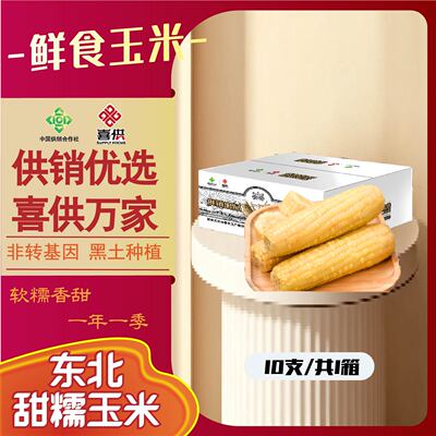 新鲜糯玉米10支礼盒装非转基因玉米棒非即食真空包装低脂早餐代餐