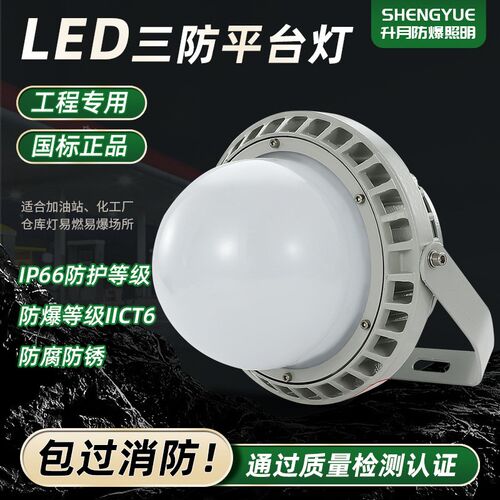 免维护LED灯50w60W70W投光灯仓库厂房户外照明泛光灯防水射灯厂家