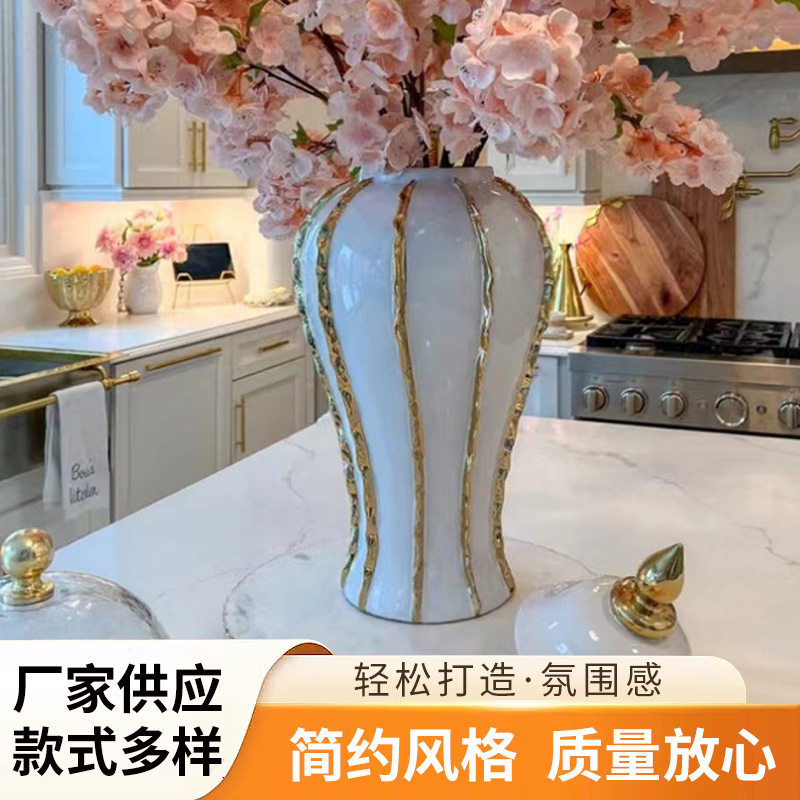 欧式陶瓷新款欧式陶瓷条花瓶