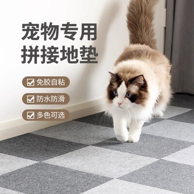 书房儿童房拼接地垫防尿防滑隔音垫自粘地毯防猫抓垫水泥地面墙贴