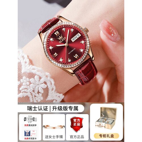 女士手表女款机械表瑞士正品新款全自动名表品牌腕表轻奢小众女表