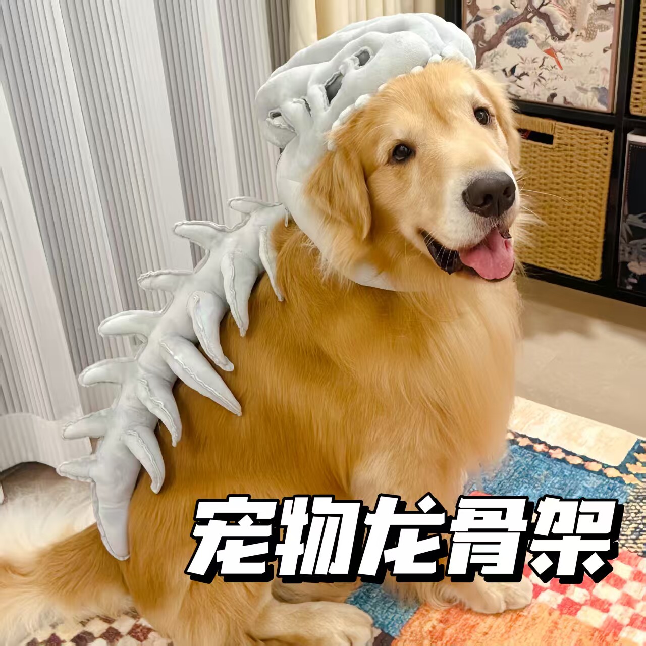 恐龙狗头套搞怪变装宠物帽子配饰图片