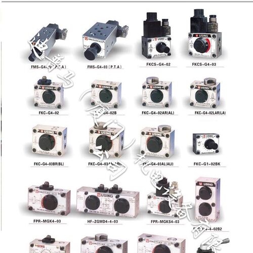 台湾峰欣USING流量阀FMS-G4-03P FMS-G4-03T FMS-G4-03A FMS-G12