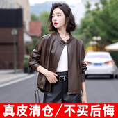 宽松休闲韩版 海宁真皮皮衣女短款 2025春秋新款 绵羊皮夹克显瘦外套