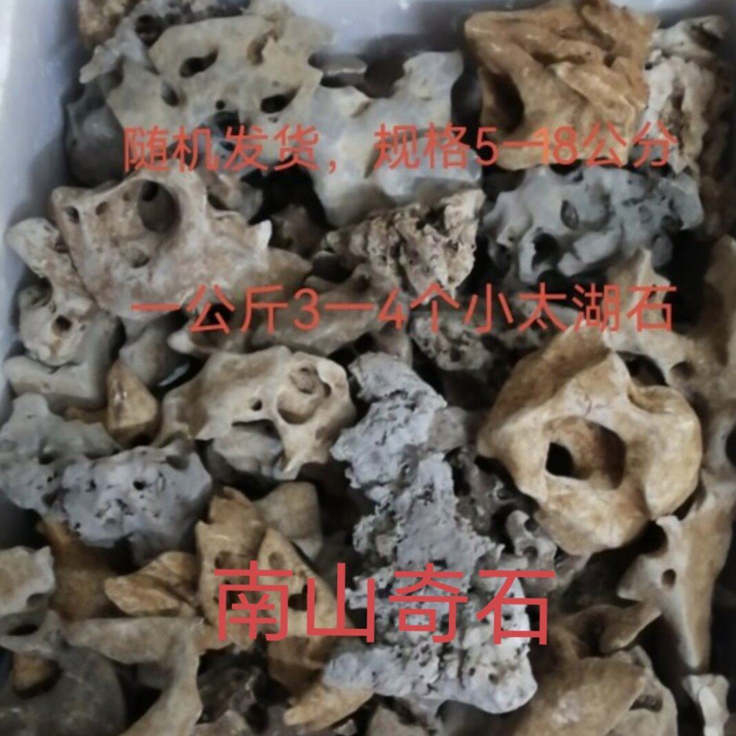 广西天然小太湖石小原石迷你盆景微盆景小鱼缸菖蒲植物小假山盆景