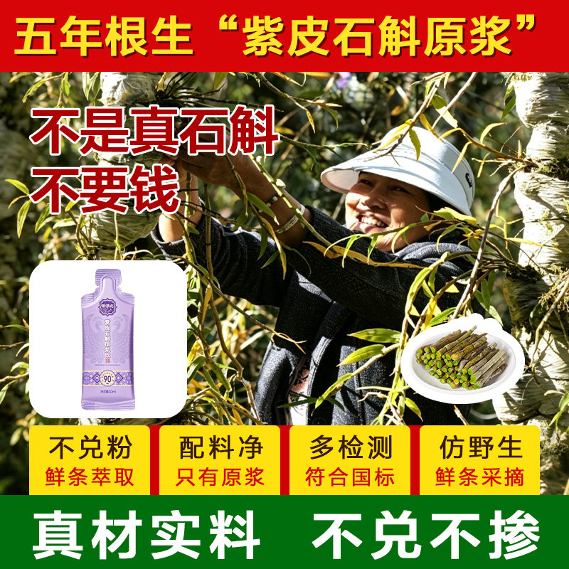 紫皮石斛之乡云南龙陵核心产区直供 紫皮石斛原浆饮 鲜条萃取条装