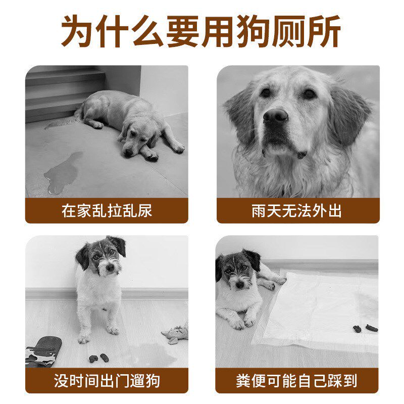 狗厕所小型犬大号防踩漏粪板网架加高防外溅狗便盆狗狗排便器