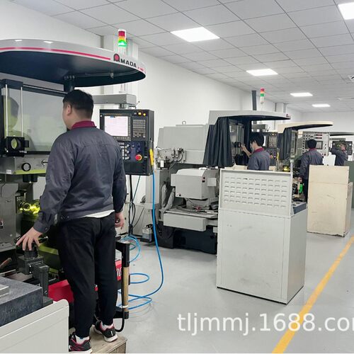 提供模具零件PG加工 光学曲线磨床加工马达铁芯钨钢凸凹模零件