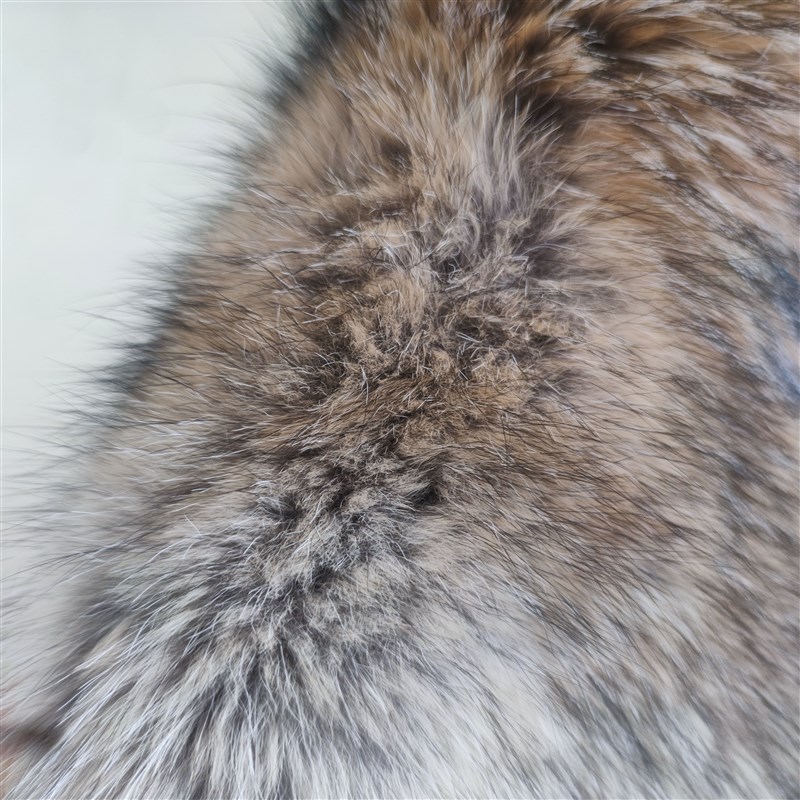 Coyotes北美郊狼皮沙发垫皮草坐垫狼毛汽车靠背一体椅子套罩加厚