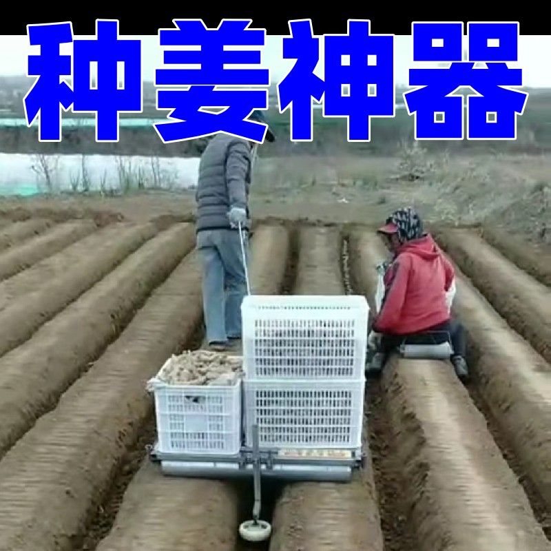 2023新款多功能三合一种姜神器运输姜种盖土种姜农具农用工具