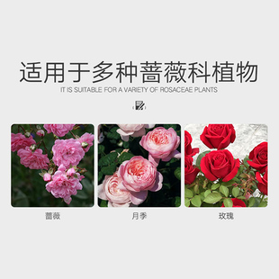 月季花肥料玫瑰蔷薇专用有机肥家用盆栽通用复合肥颗粒营养液缓释