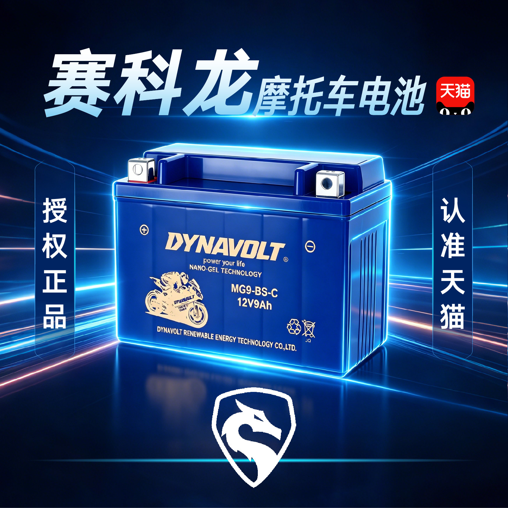 赛科龙RT3/RX3/S/RA250/RT250/RX401/AQS250摩托车电瓶12V猛狮