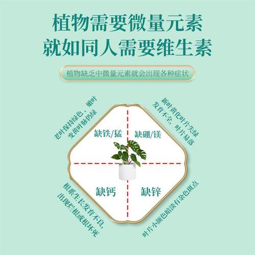 艾尚棵植物营养液浓缩款通用型花卉水培园艺绿植花卉盆栽多肉绿萝