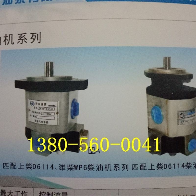 转向助力泵 QC20/15-D14 合肥力威汽车油泵QC20/15-J6L图片
