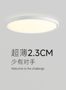实木农村自建房屋檐吸顶灯庭院户外阳台室外别墅大门门口照明灯具
