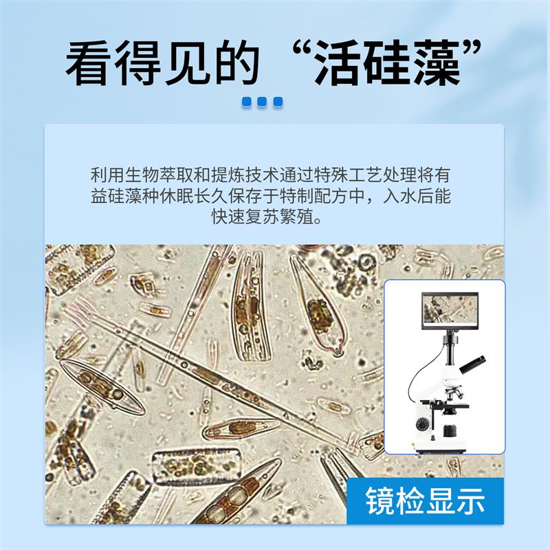 鱼耀稳定型硅藻种小球藻复合藻种水产养殖鱼虾蟹白鲢塘肥水培藻