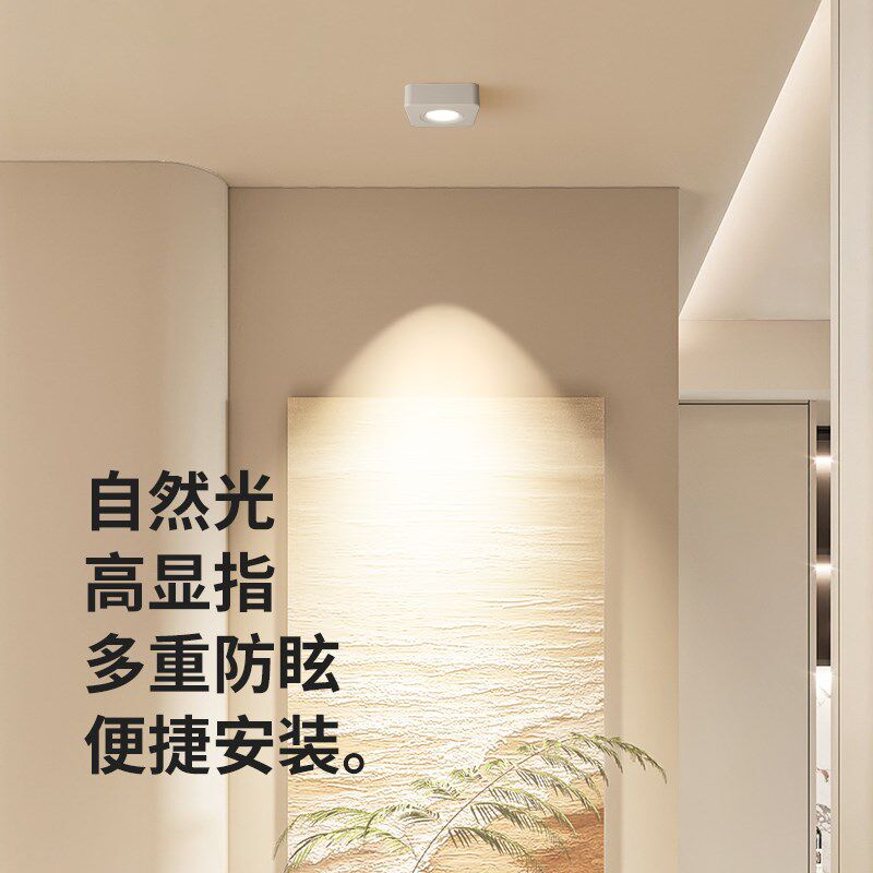 至御led明装射灯超薄双头斗胆灯客厅过道天花吸顶无主灯照明050
