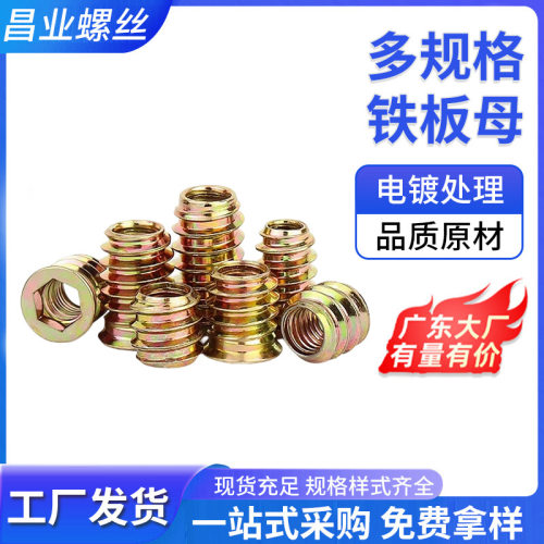 包邮厂家批发 沉头螺母镀锌家具螺丝螺钉工具建筑内外牙螺母内塞