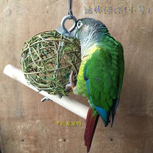 鹦鹉鸟用品站棒玩具球攀爬啃咬多功能梯 虎皮牡丹鸟笼站架吊杠