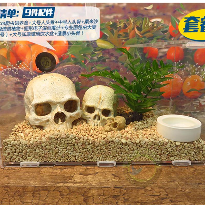 爬虫红火玫瑰蜘蛛亚克力饲养箱盒雨林蝎守宫蜈蚣宠物玉米蛇352020