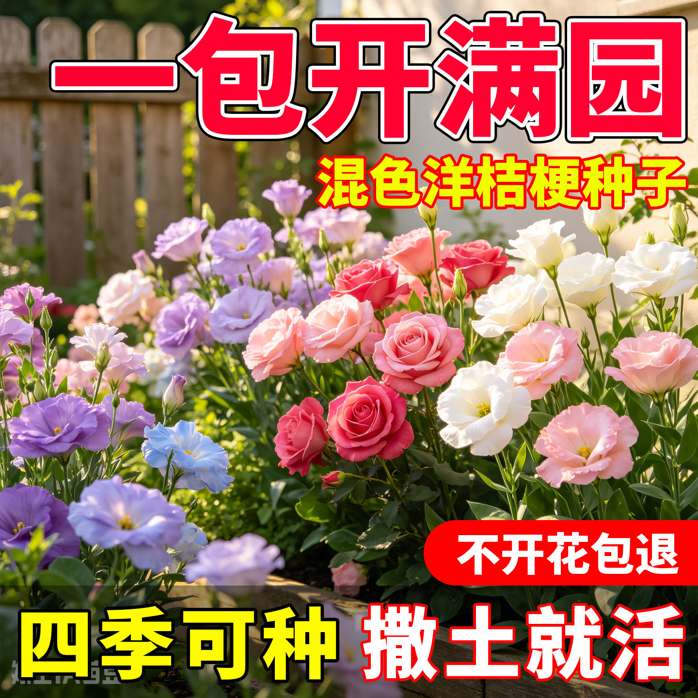 洋桔梗花种子重瓣洋桔梗四季种易种室内室外阳台小院盆栽花种子