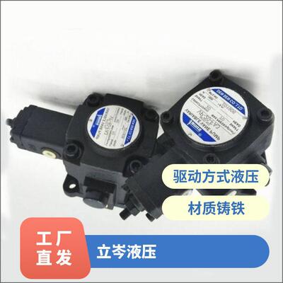 登胜janus叶片泵 vp20机床油泵 VP40-FA3液压站电机组合