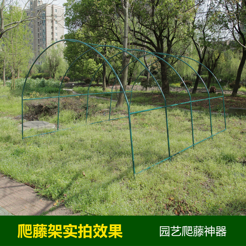 楼顶阳台爬藤支架 钢管蔬菜瓜架庭院花园用棚架 可选长宽高尺寸