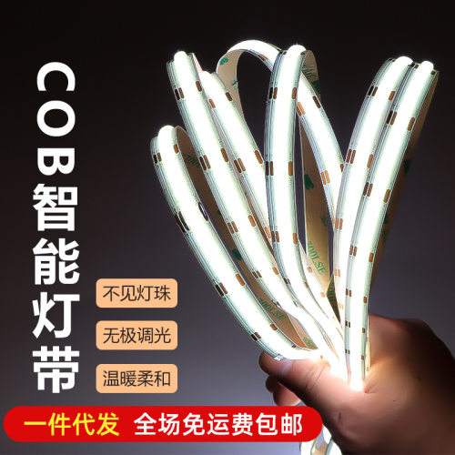 涂鸦智能灯带语音凌动按键低压24V三色贴片无级调光氛围线性灯条
