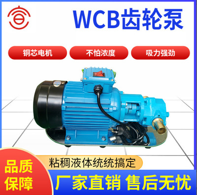 WCB75微型齿轮式油泵 供应WCB-75微型齿轮式油泵