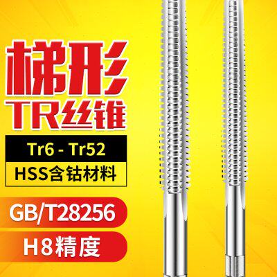 T型梯形丝锥螺纹机用丝锥TR6 8 10 12 16 18 20 22 24 28-52攻丝