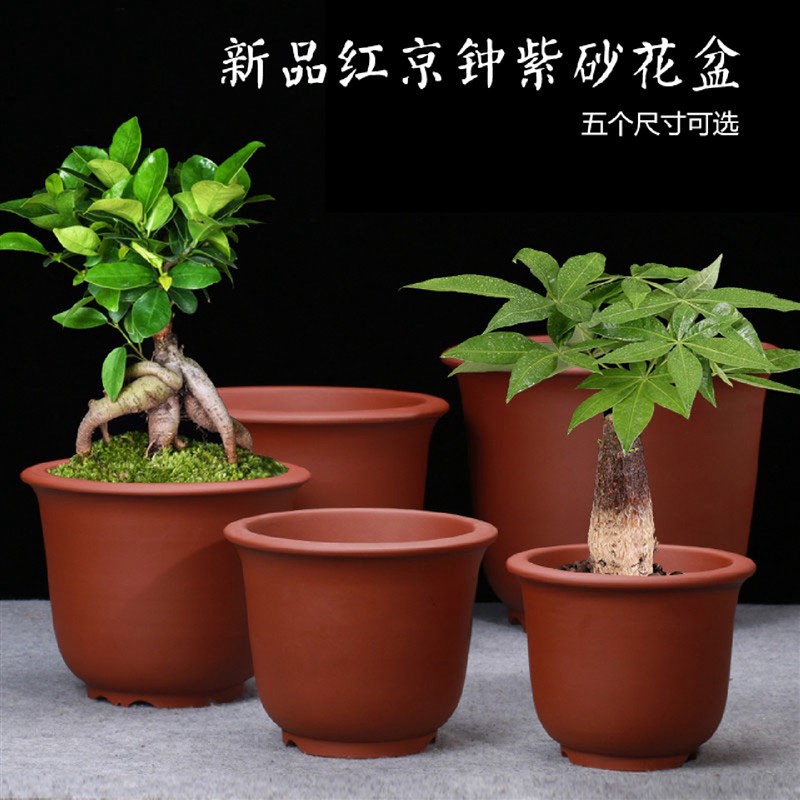 紫砂花盆兰花盆绿萝盆盆景盆特大号圆形花盆古典京中花盆落地式