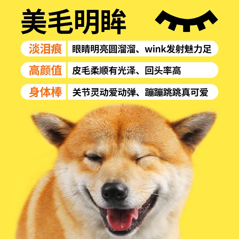 卷尾巴狗粮大型犬金毛拉布拉多哈士奇通用犬粮牛肉味