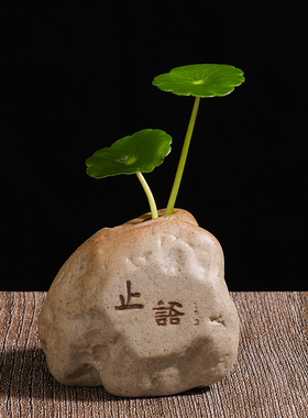 水培花盆器皿创意绿萝小花器粗陶瓷禅意花瓶装饰客厅茶桌茶宠摆件