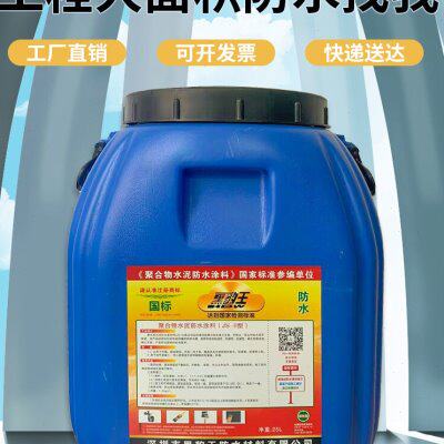 黑豹防水涂料楼屋顶外墙补漏防漏JS聚合物卫生间水池50公斤大桶装