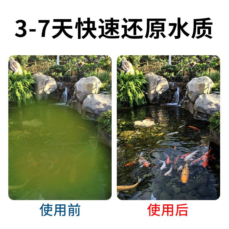 鱼池水循环过滤系统室外水池过滤器大型锦鲤池净水外置过滤箱