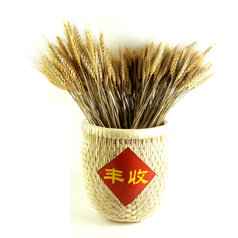 天然麦穗柳条编织干花花篮藤编篮子柳编滕编小号丰收篮礼品田园风