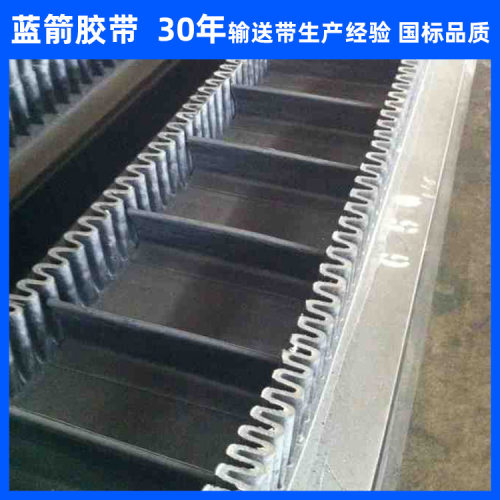河北蓝箭供应橡胶裙边档格输送带 挡板提升带 大倾角挡边输送带