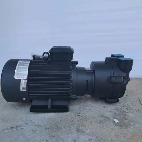 真空干燥附抽气设备水环式真空泵 深圳天成化工真空过滤气真空泵