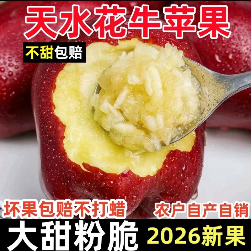 粉面香甜甘肃天水花牛苹果
