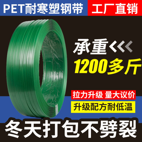全新料绿色塑钢打包带厂家直销