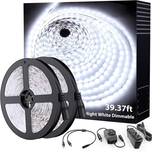 12V2835调光白光暖白光防水10M套装灯带