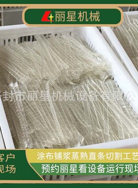 丽星厂家供应水晶粉皮机、绿豆粉皮设备、圆形粉皮生产线