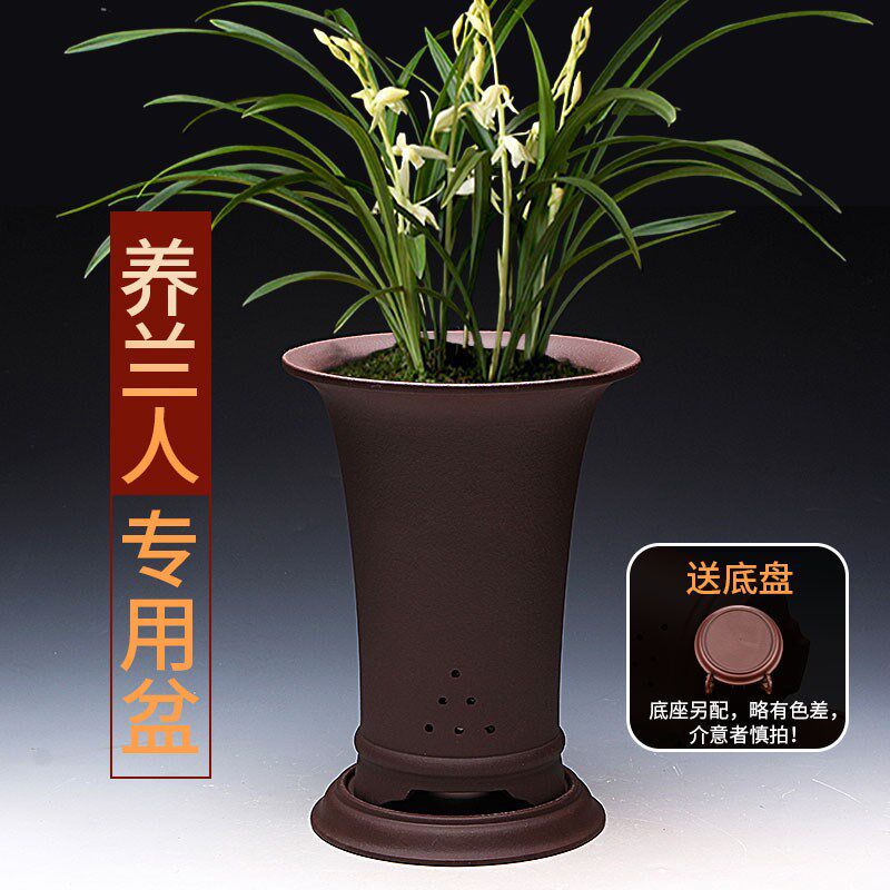 兰花花盆紫砂兰花盆透气专用家用陶瓷精品轻奢家用兰花套盆高款