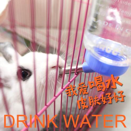 兔子水壶饮水器立式支架防漏滚珠防打翻金丝熊蜜袋鼯仓鼠喂食用品