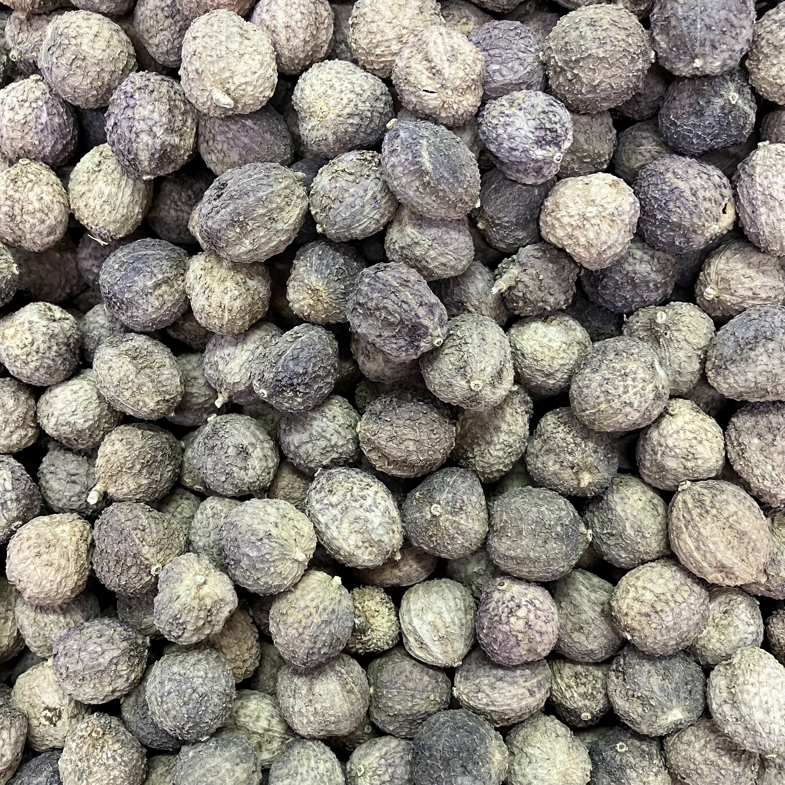 砂仁中药材正品阳春砂仁干货广东砂仁代磨粉正宗广东阳春砂仁500g