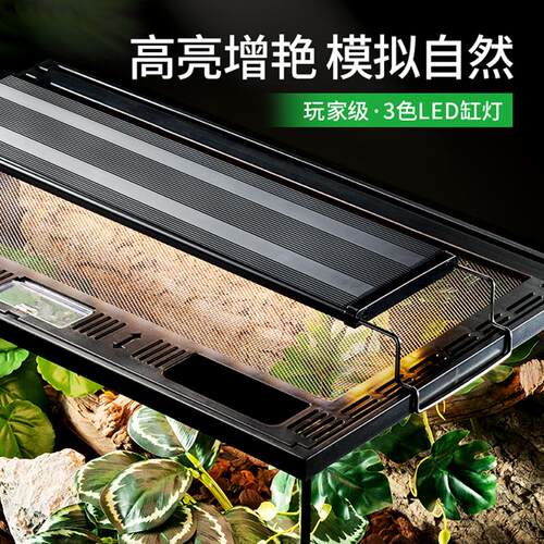 其鳞定时LED灯智能晨昏灯爬宠晒背灯黄缘龟缸造景蜥蜴守宫饲养箱