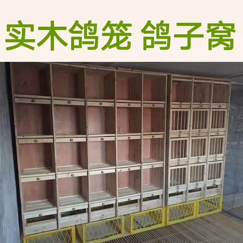 比赛用调节巢箱 实木组合巢箱 鸽子笼可客制化格数